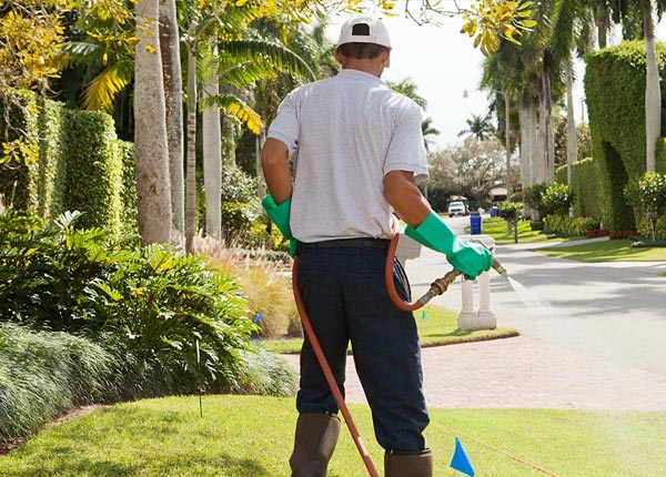About Sea Island GA Pest Control Pros